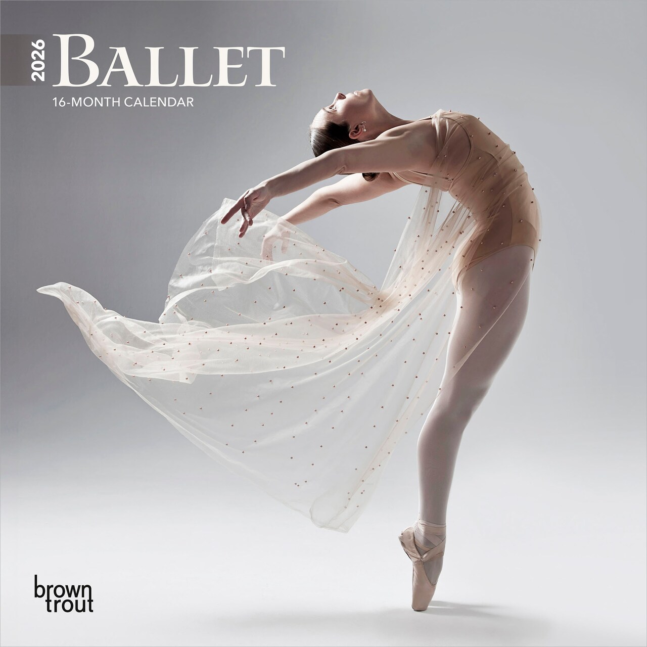 Ballet | 2026 7 x 14 Inch (Hanging) Monthly Mini Wall Calendar